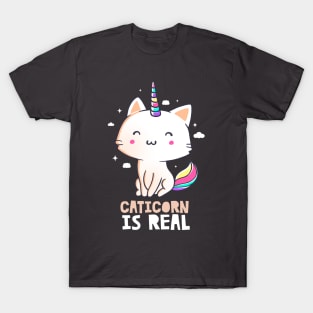 Caticorn Is Real Funny Cute Gift T-Shirt